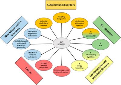 Nutraceuticals in the Modulation of the Intestinal Microbiota: Current Status and Future Directions